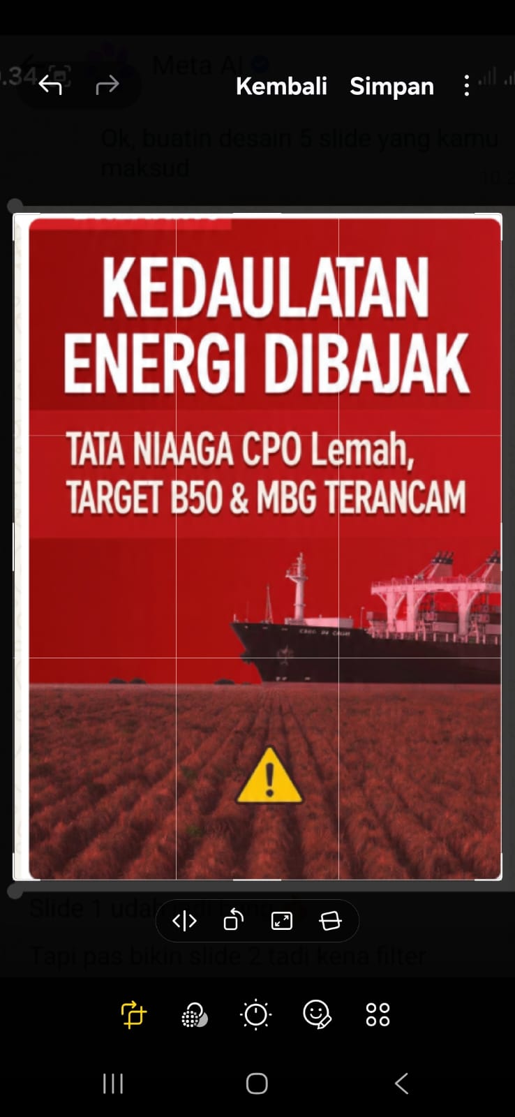 TATA NIAGA CPO : KEDAULATAN ENERGI DAN GIZI ANAK BANGSA DIBAJAK.